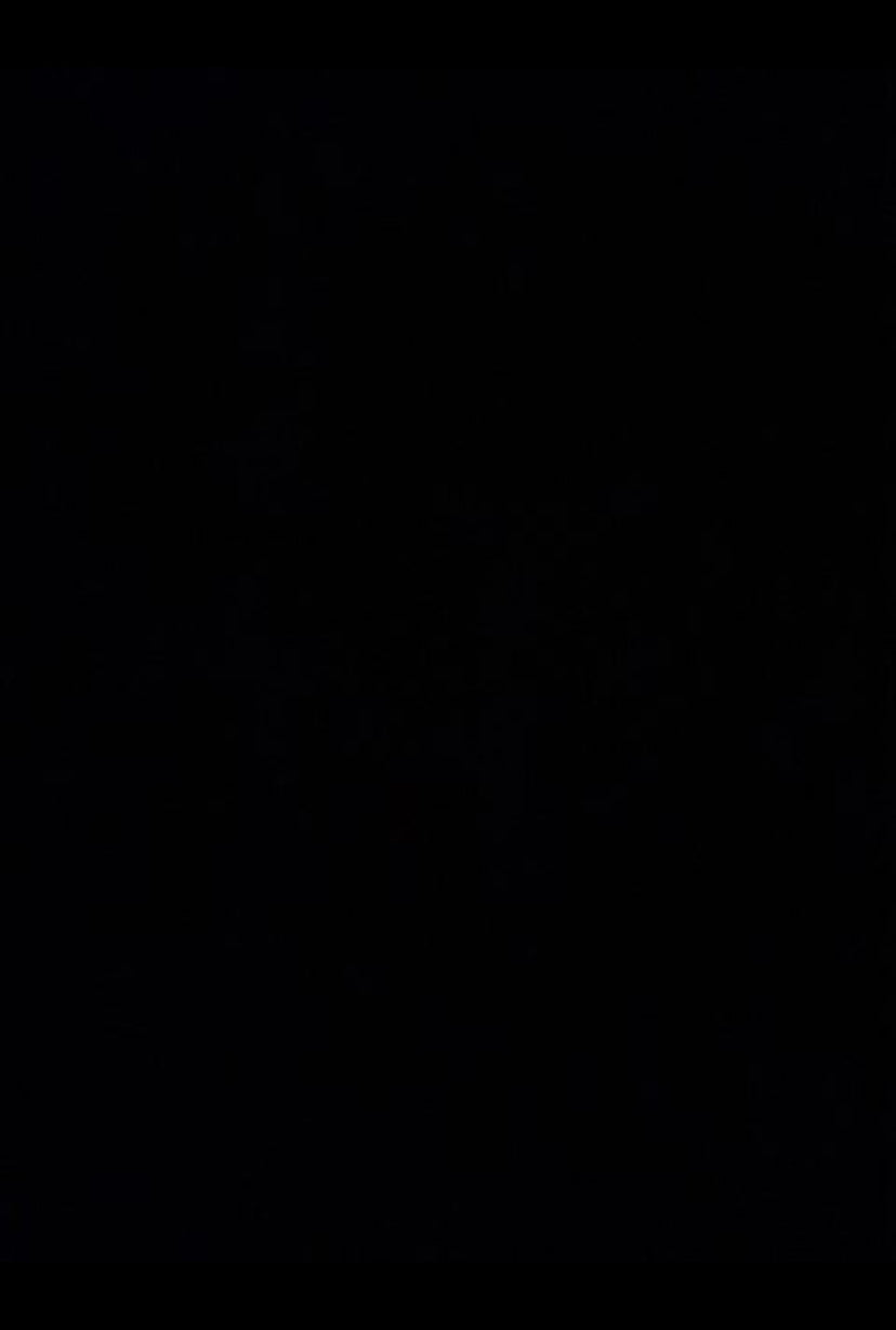 Plov anker rustfri stål